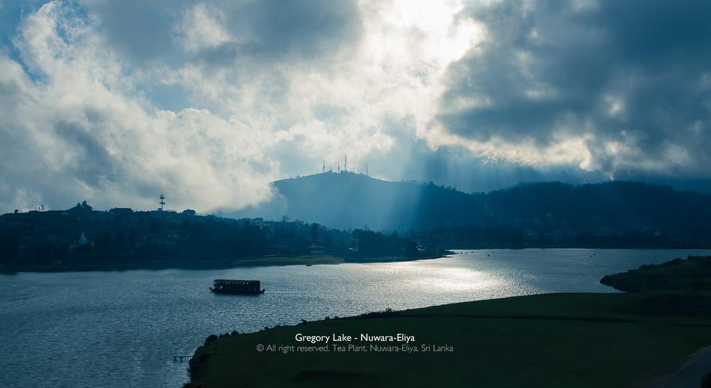 Tea Plant Nuwara Eliya Villa Dış mekan fotoğraf